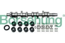 Camshaft Kit 038109101R Borsehung B18664 for Aud, Seat, Skoda, VW