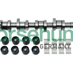 Camshaft Kit 038109101R Borsehung B18664 for Aud, Seat, Skoda, VW